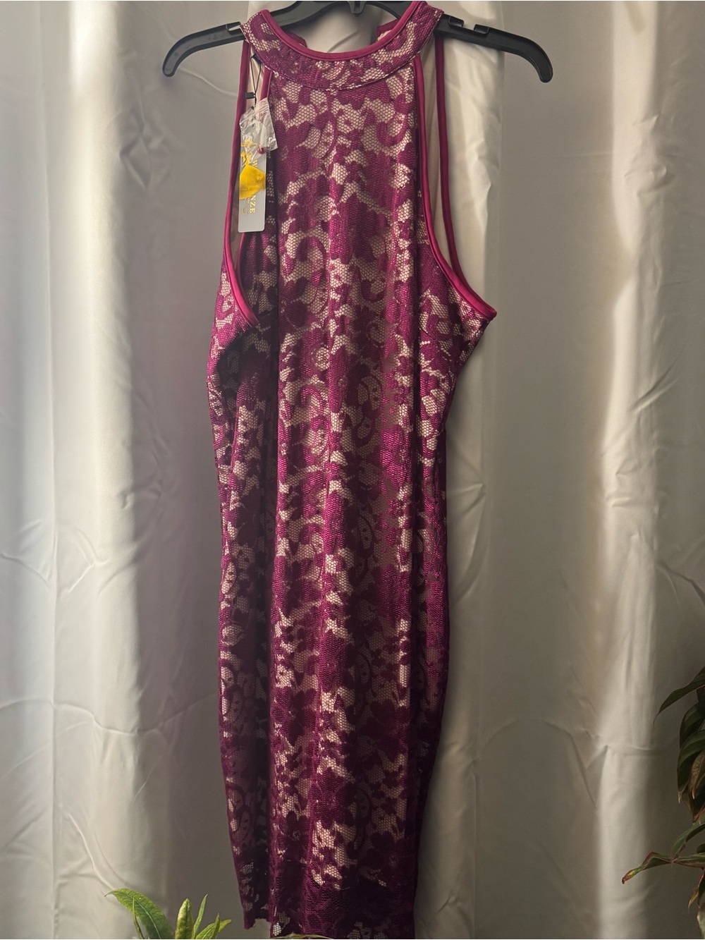 Sleeveless Lace Bodycon Dress in Burgundy - Picture 1 of 5